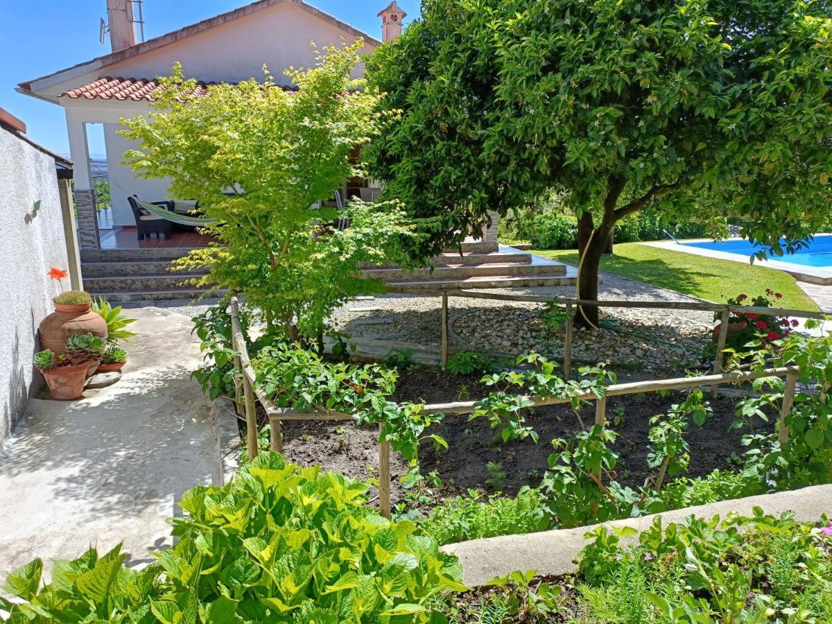 Corticada  Casa Da Gardunhaヴィラ エクステリア 写真