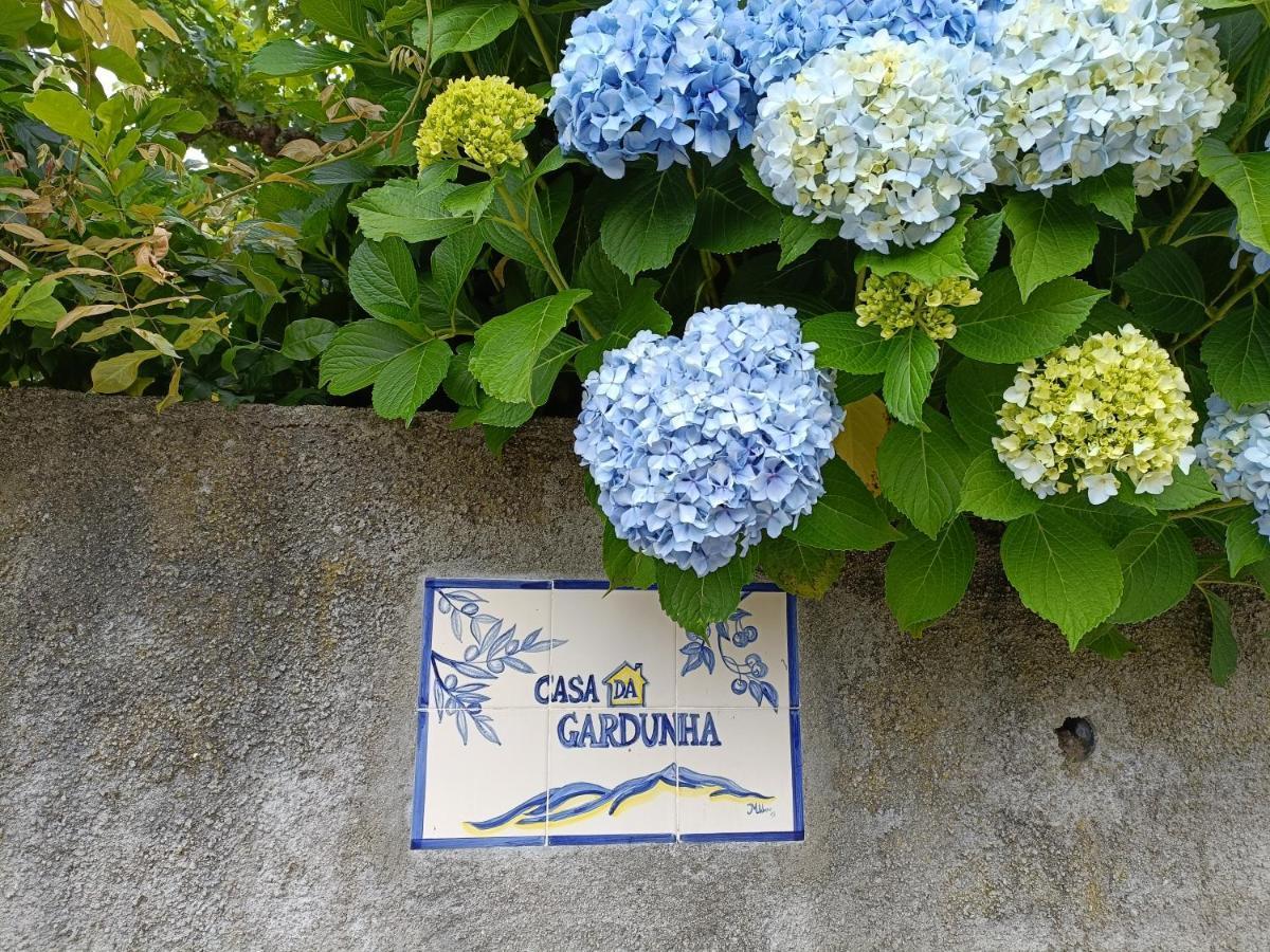 Corticada  Casa Da Gardunhaヴィラ エクステリア 写真